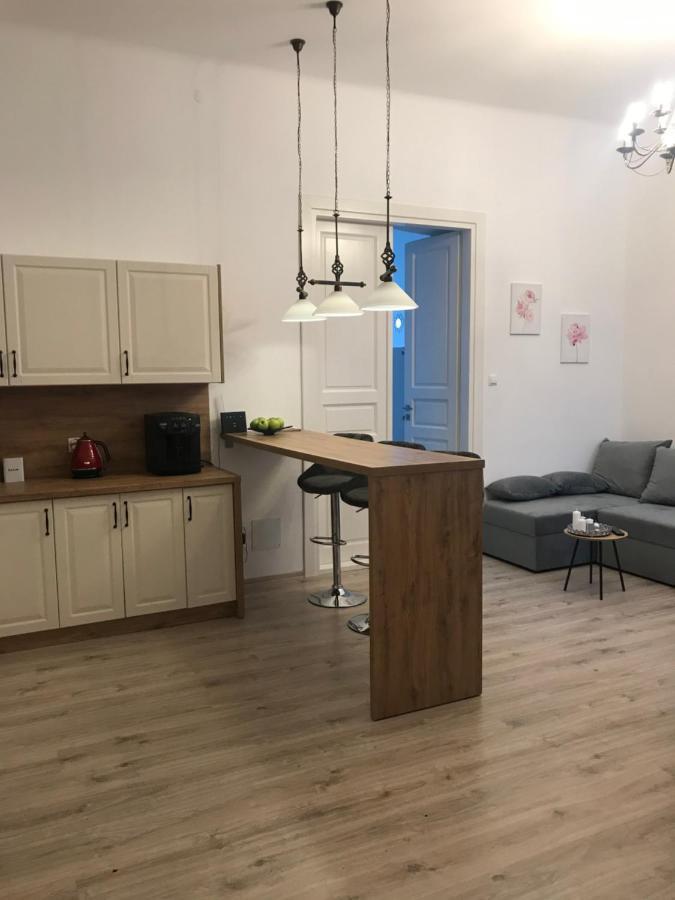 Apartament Mickiewicza - Pkp Station プシェムィシル エクステリア 写真