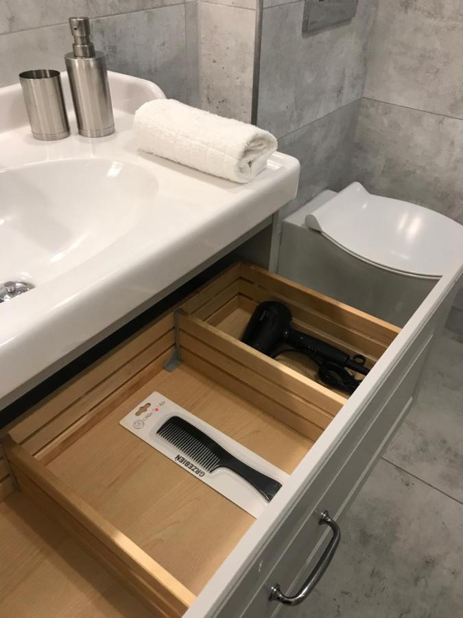 Apartament Mickiewicza - Pkp Station プシェムィシル エクステリア 写真